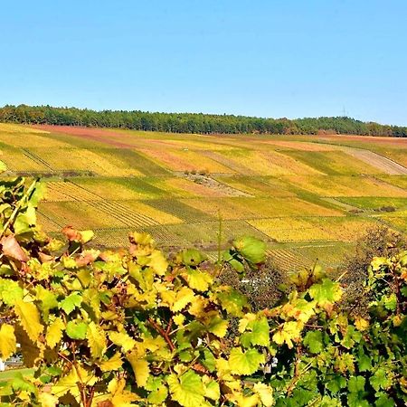 Ferienwohnungen Etzl Bad Mergentheim Eksteriør bilde
